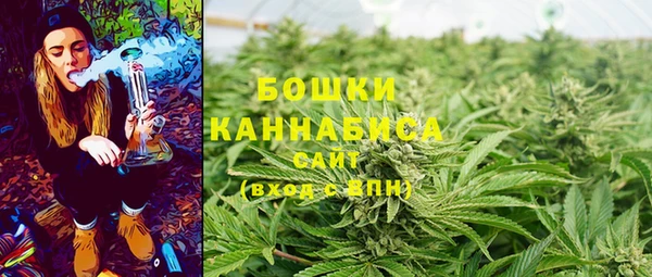 метадон Козловка