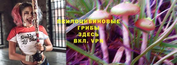 эйфоретик Костерёво