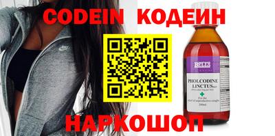 спиды Кингисепп