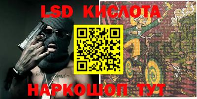 спиды Кингисепп