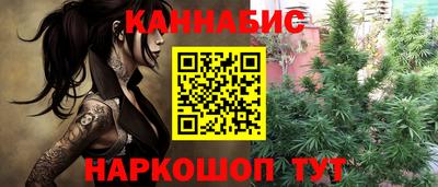 спиды Кингисепп