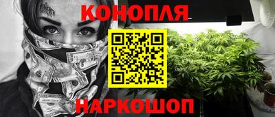 спиды Кингисепп