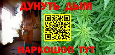 спиды Кингисепп