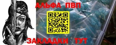 спиды Кингисепп