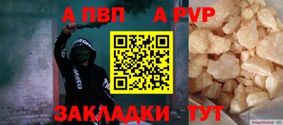 спиды Кингисепп