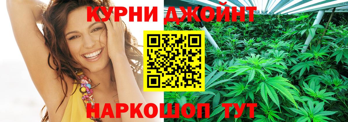 Канабис индика Кохма
